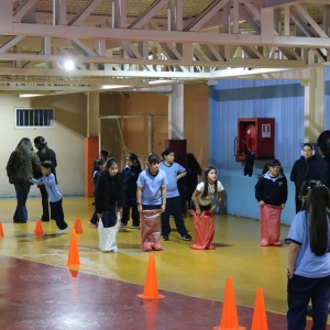 Día de la Actividad Física